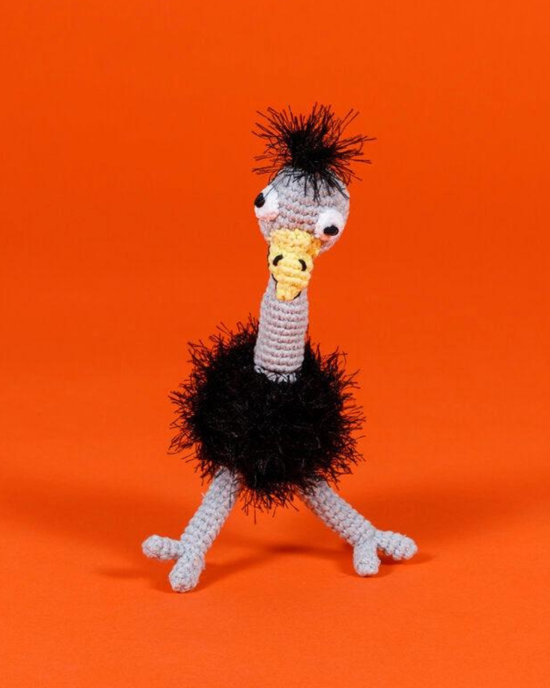 Hand Crochet Ostrich Dog Toy Play WARE OF THE DOG   