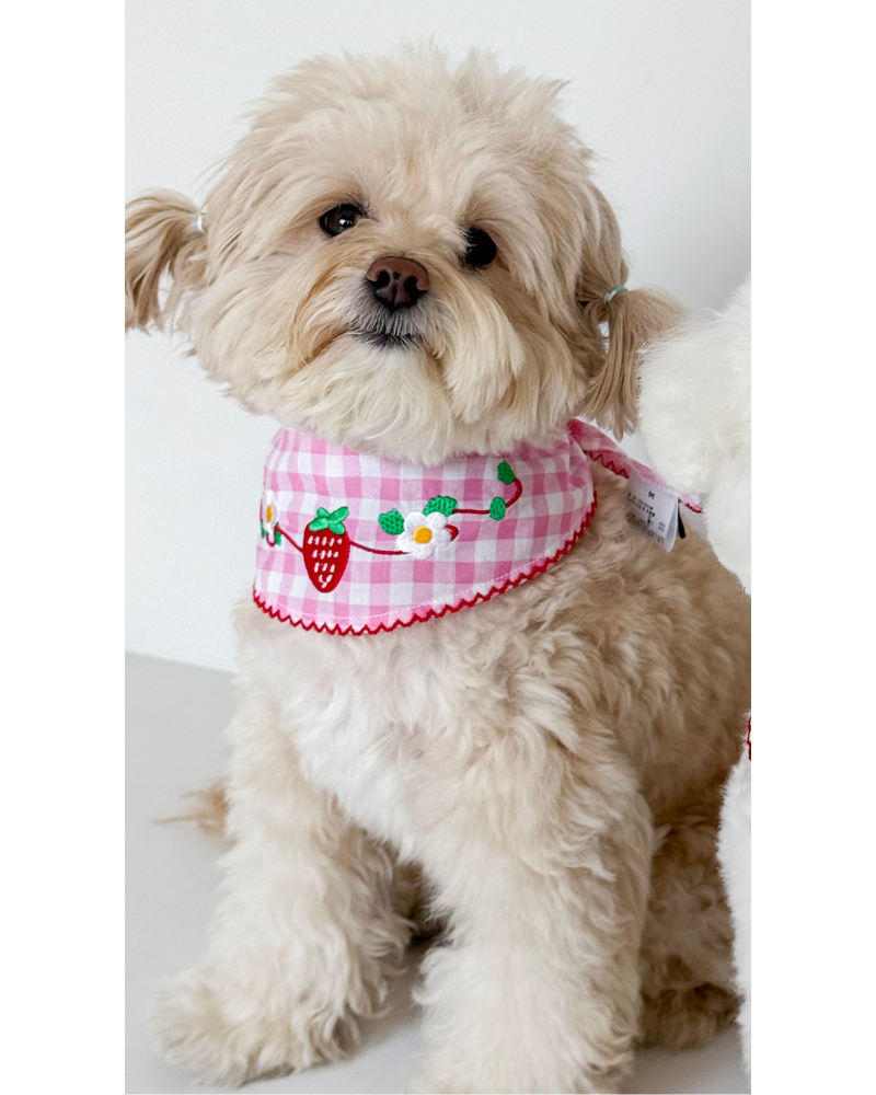 Strawberry Farm Dog Bandana Wear COTE A COTE