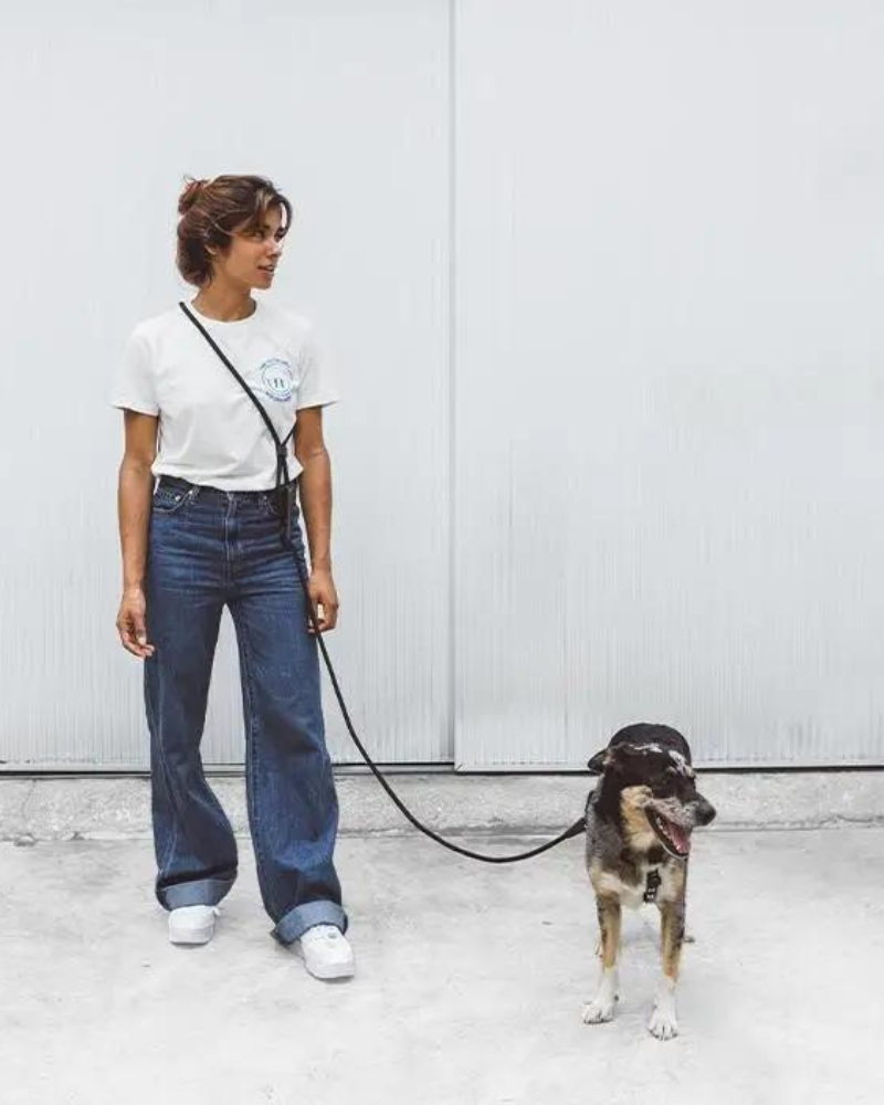 Hands-Free Dog Leash WALK ZEE.DOG   