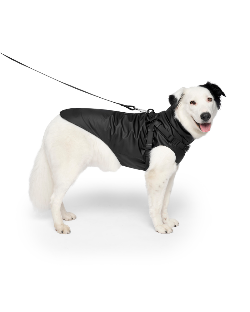 CANADA POOCH | 2-In-1 Dog Harness Raincoat in Black | DOG & CO.