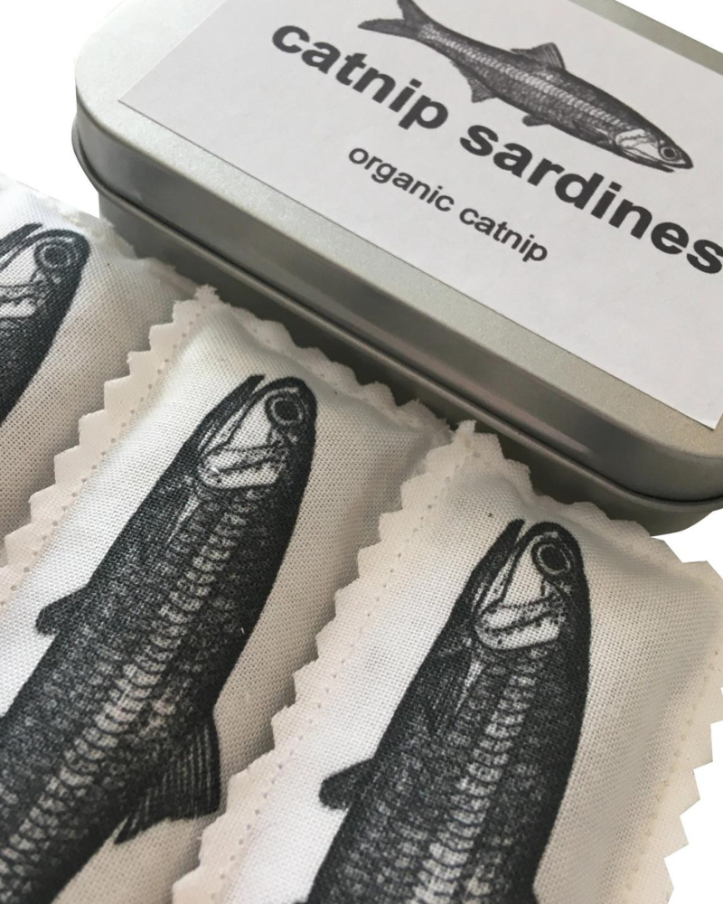 Organic Catnip Sardines Toy Play CIAO GATTO   