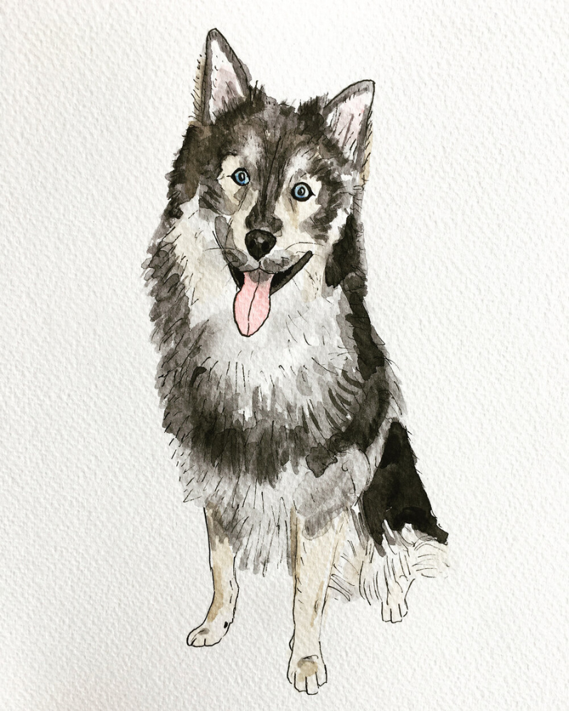 Custom Watercolor Pet Portrait (5x7) HOME Alexandra Schmeling Fine Art   