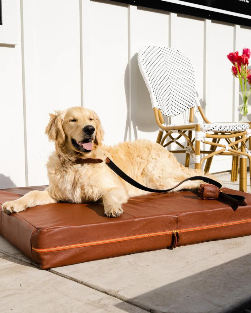 Orthopedic & Cooling Leather Dog Bed (Drop-Ship) HOME LE DOG   