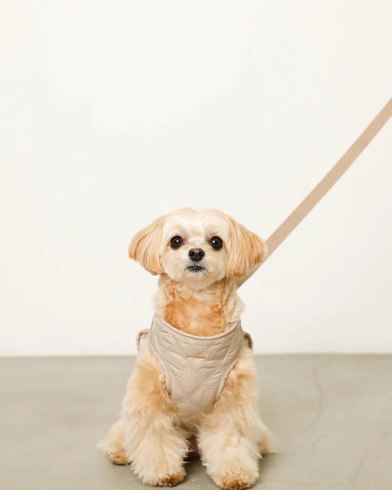 Quilted Puffer Dog Harness & Leash Set (FINAL SALE) WALK MONCHERI   