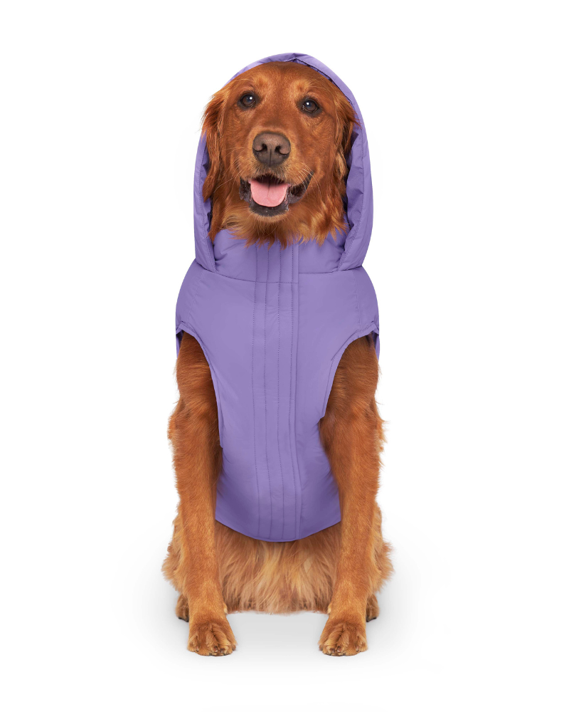 Insulated Waterproof Dog Puffer (FINAL SALE) Wear CANADA POOCH   