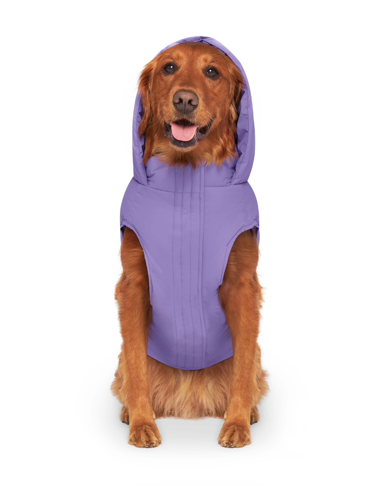 Insulated Waterproof Dog Puffer Wear CANADA POOCH   