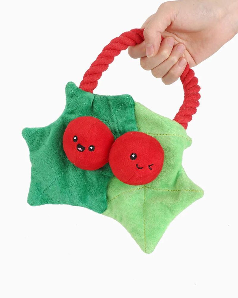 Christmas Berry Crinkle Dog Toy Play HUGSMART   