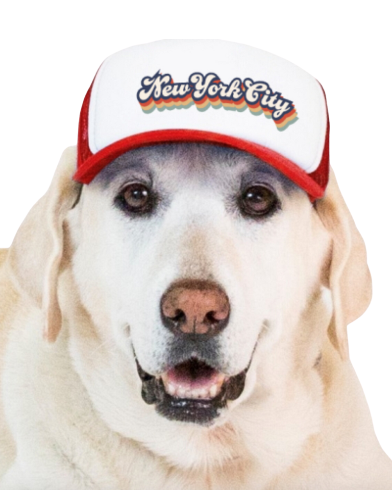 New York City Pet Trucker Hat (DOG & CO. EXCLUSIVE) Wear PUPLID   