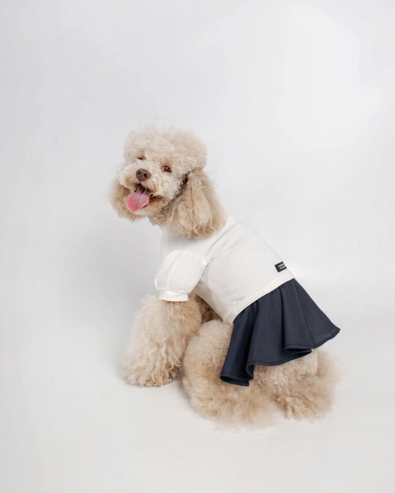Soft Dog Dress in White & Navy (FINAL SALE) Wear COLETTE ET GASTON   