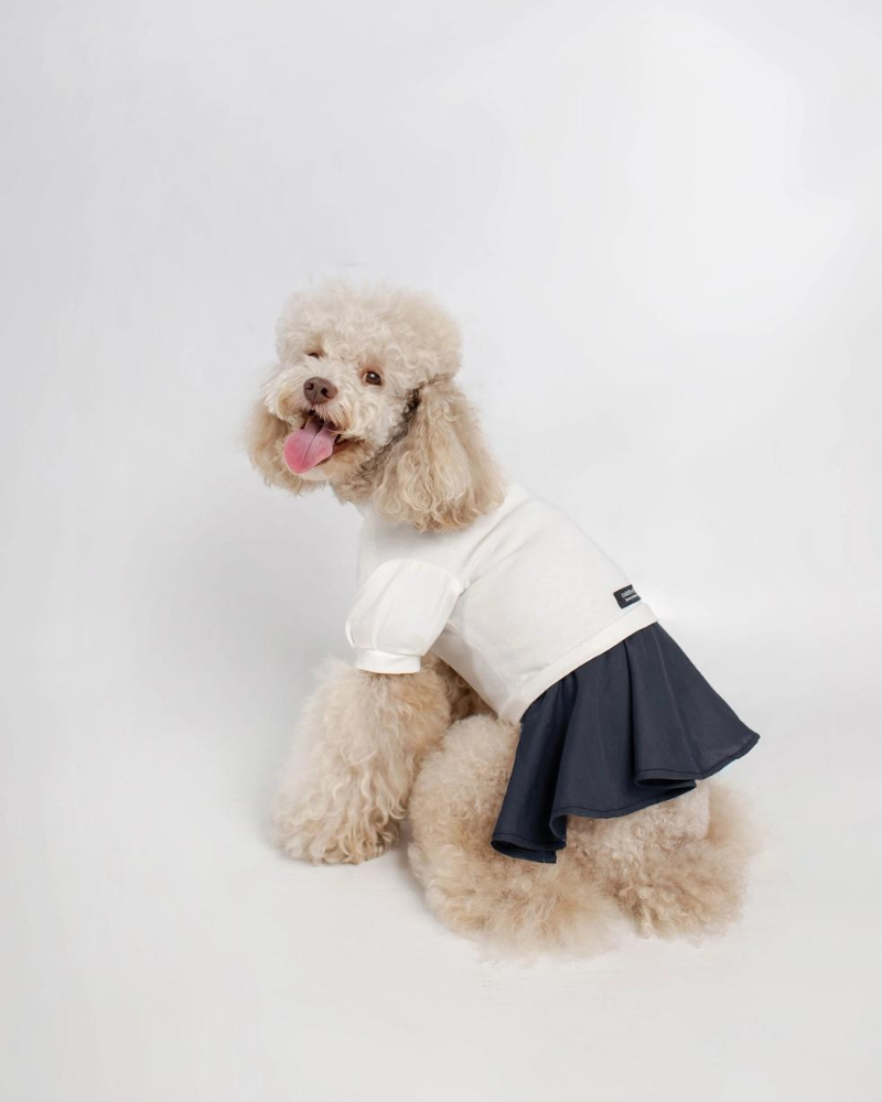 Soft Dog Dress in White & Navy Wear COLETTE ET GASTON   