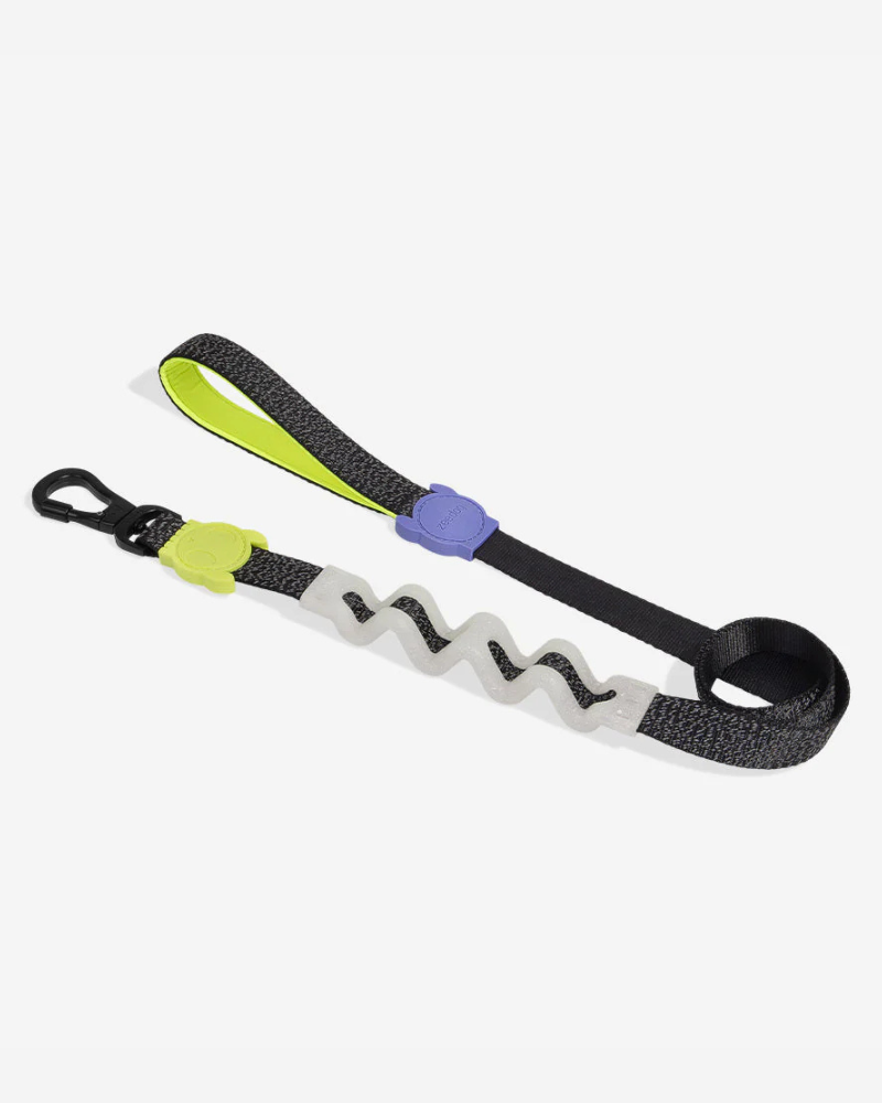 Ruff Leash for Dogs in Nox WALK ZEE.DOG