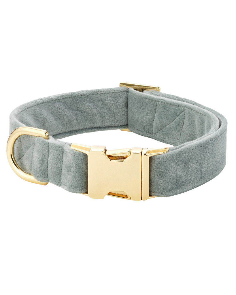 Velvet sales dog collar
