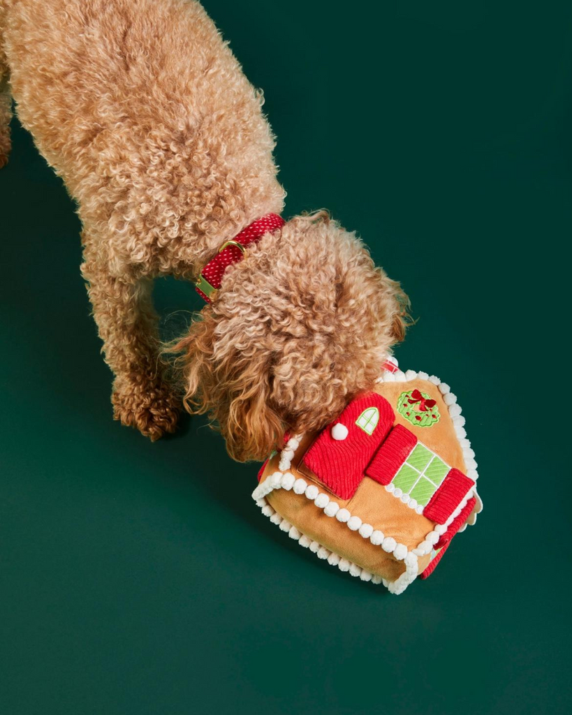 Gingerbread House Interactive Snuffle Dog Toy Play THE FOGGY DOG   