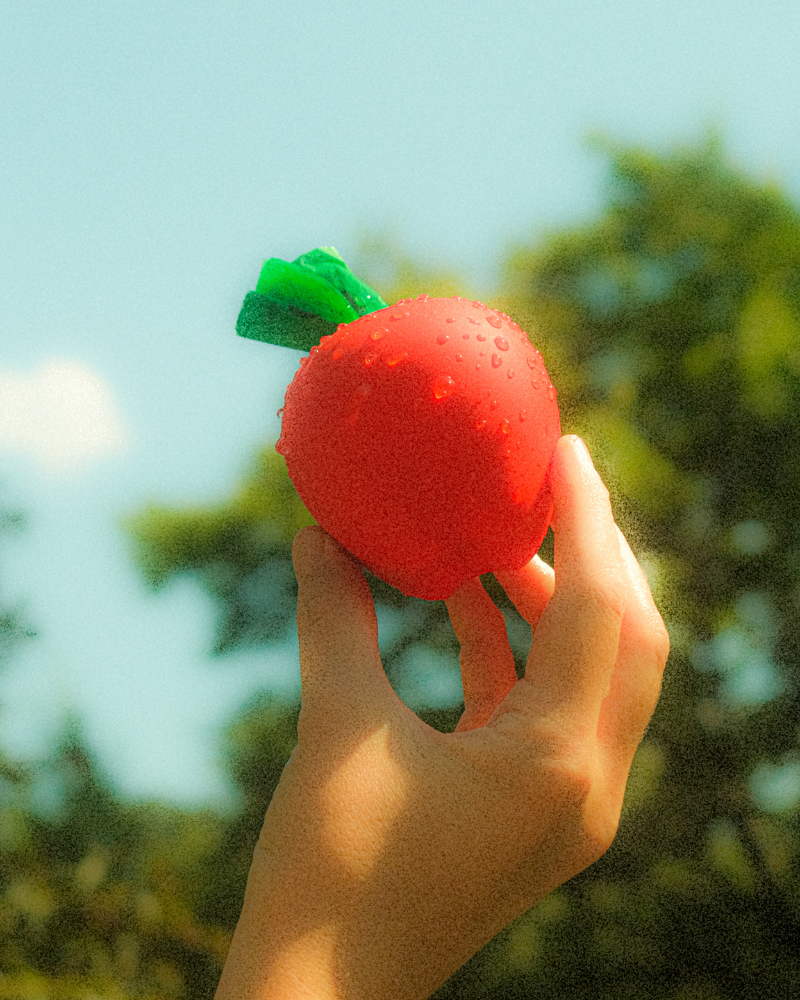 FROOPS | Apple Poop Bag Holder | DOG & CO.