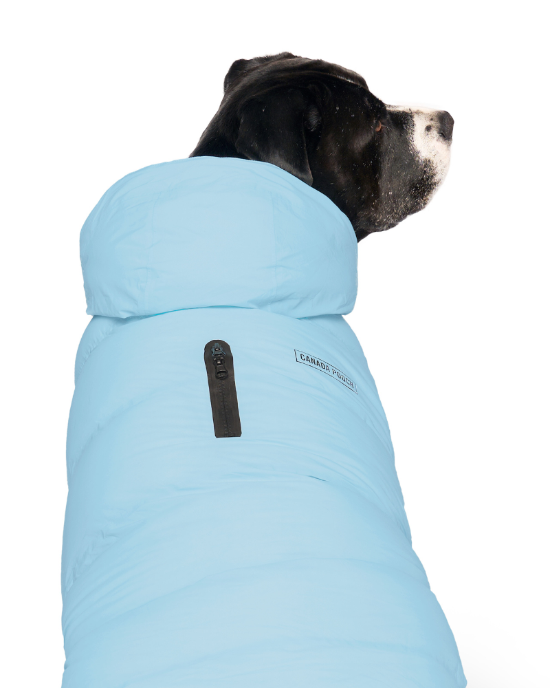 Insulated Waterproof Dog Puffer (FINAL SALE) Wear CANADA POOCH   