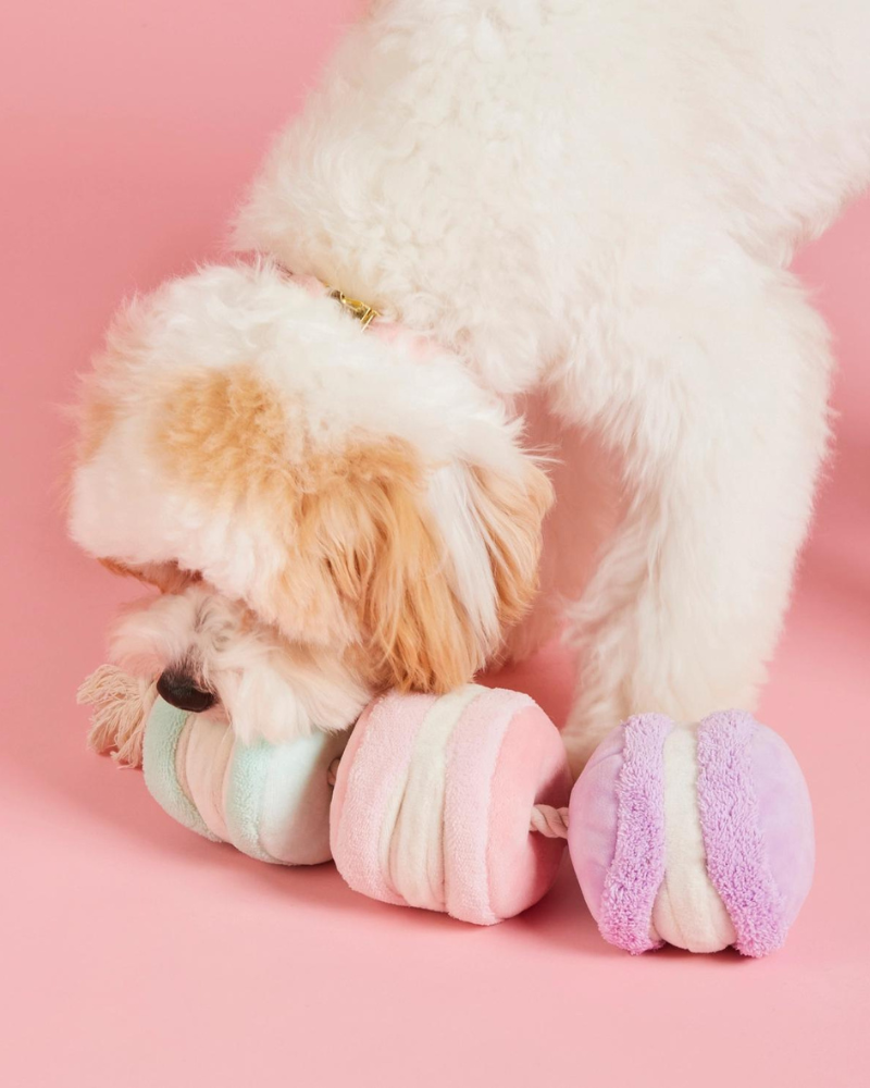 Macarons Interactive Snuffle Dog Toy (FINAL SALE) Play THE FOGGY DOG   