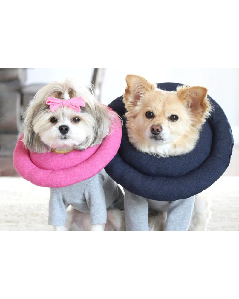 Hypoallergenic Soft Comfy Pet Cone (Made in the USA) HOME ICECREAMTREE STUDIO   