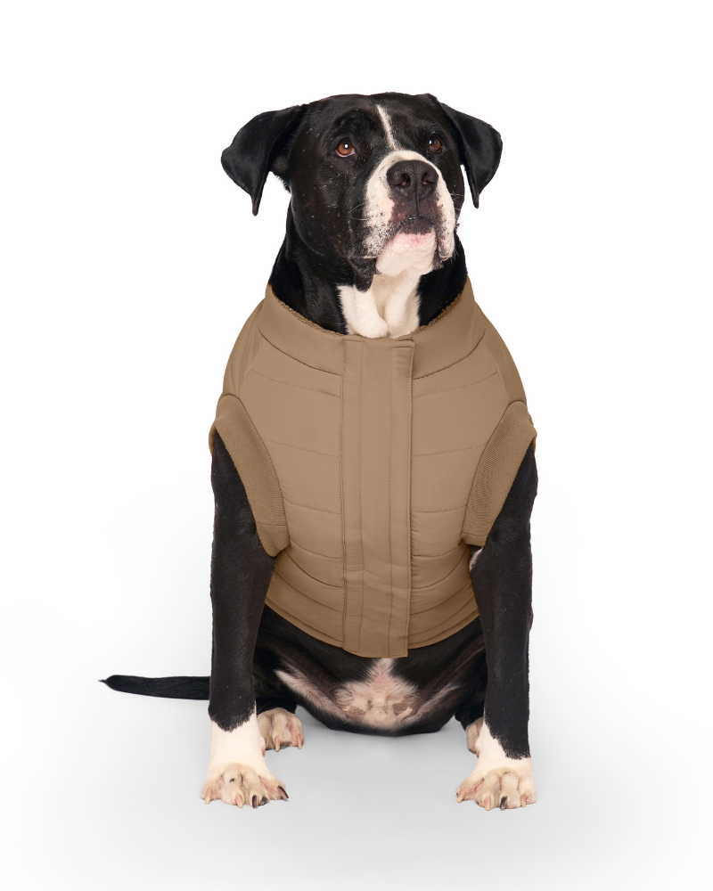 Cool Factor Dog Puffer Jacket in Tan (FINAL SALE) Wear CANADA POOCH   