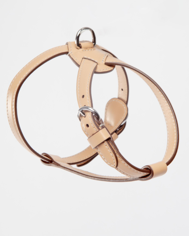 Nuvola Leather Dog Harness in Vanilla (Made in Italy) Walk CARLOTTA PALERMO