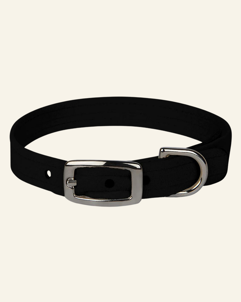 Ultrasuede Dog Collar (Made in the USA) WALK SUSAN LANCI DESIGNS Black Teacup 