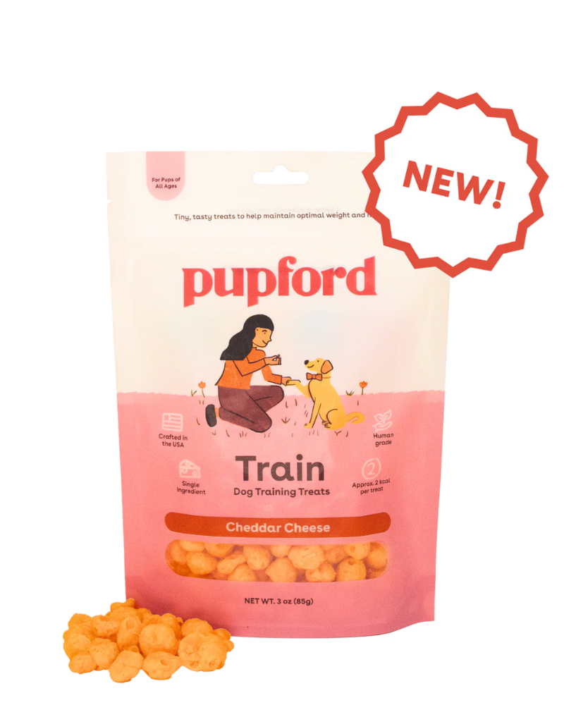 Cheddar Cheese Training Dog Treats Eat PUPFORD