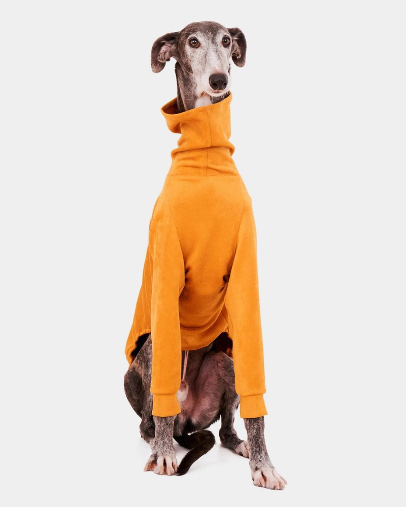 Long Sleeve Dog Turtleneck in Yellow (FINAL SALE) Wear FORGALGO   