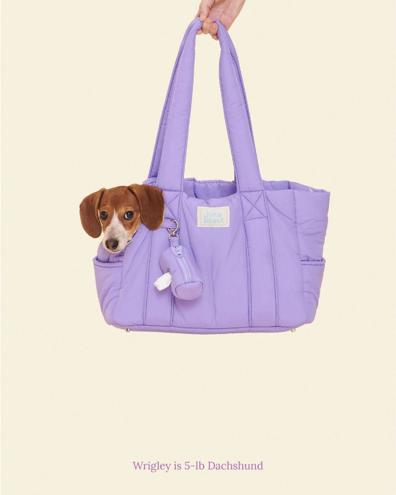 The Little Beast Mini Carrier in Ube Carry LITTLE BEAST