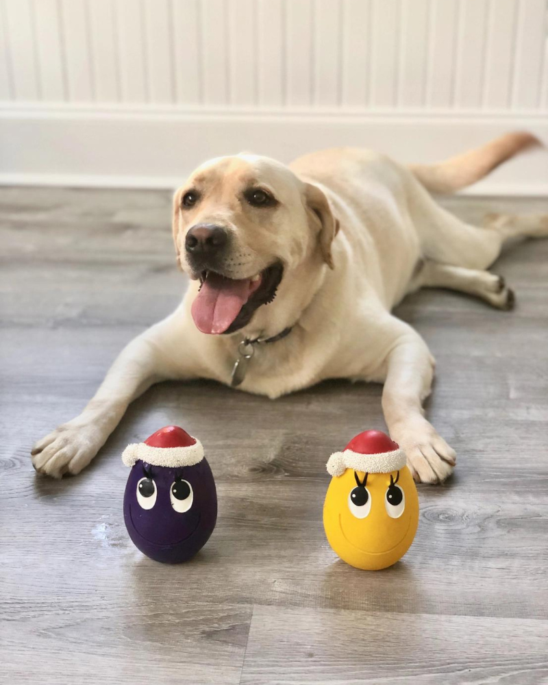 Santa Egg Latex Dog Toy (FINAL SALE) Play LANCO TOYS
