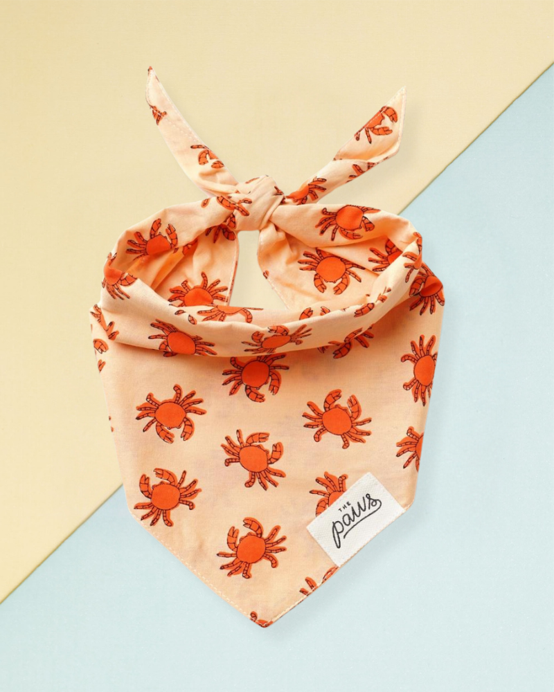 Mr. Crabby Dog Bandana Wear THE PAWS