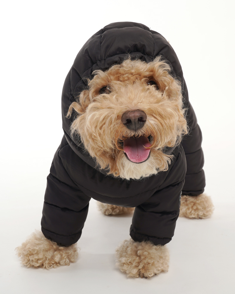 Padded Winter Coverall for Dogs w/ Hood Wear SSOOOK   