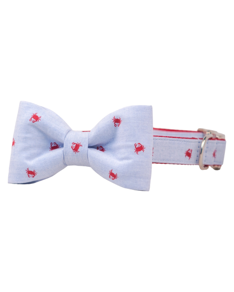Feeling Crabby Bow Tie Dog Collar (Made in the USA) WALK Crew LaLa