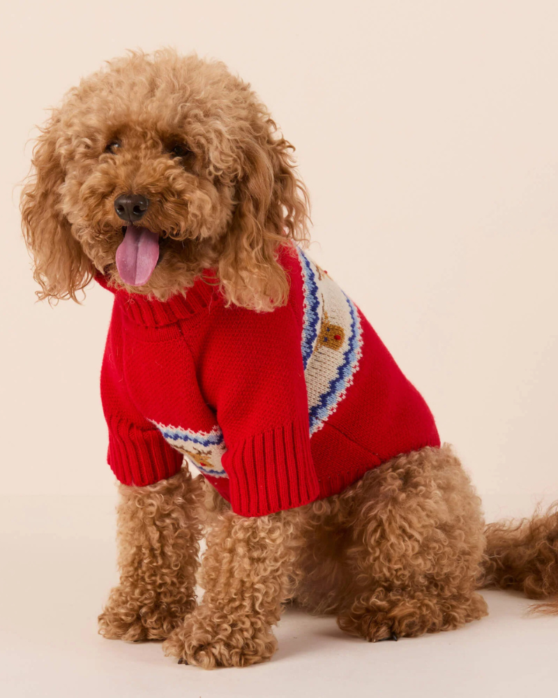 Reindeer Fair Isle Bobble Dog Sweater Wear THE FOGGY DOG