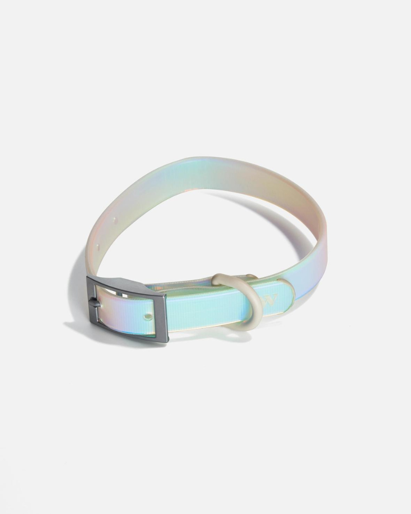 Holographic Lunar Dog Collar WALK WILD ONE   