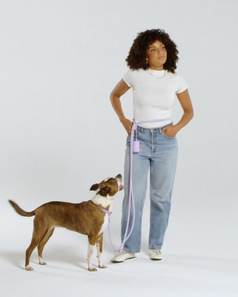 WILD ONE | Hands-Free Rope Dog Leash in Blush Pink