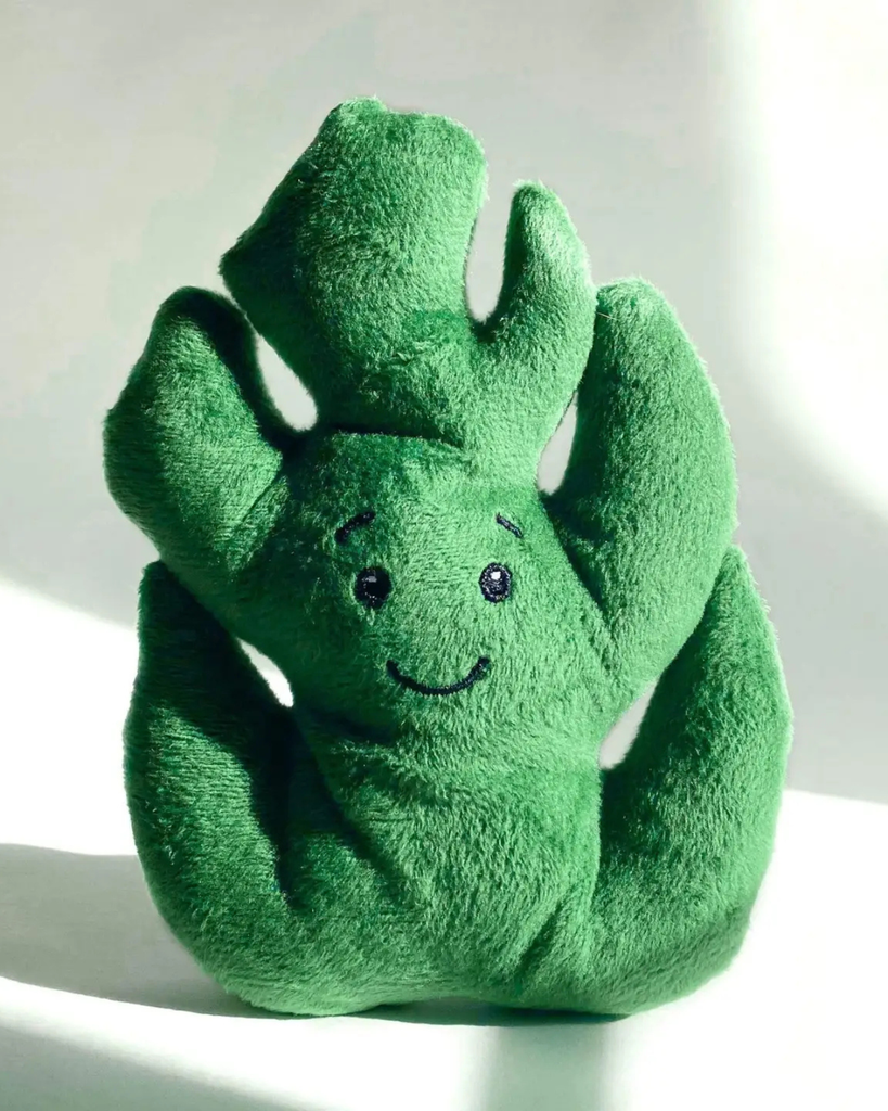 CONTIGO DOGS | Monstera Recycled Squeaky + Crinkle Dog Toy