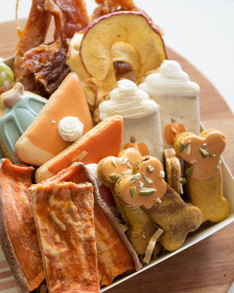 Pawtumn Harvest Dog Treat Box Eat BARKLEY & BLUE   