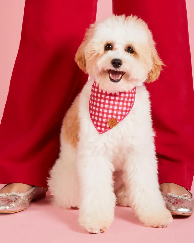 Raspberry Gingham Spring Dog Bandana (Made in the USA) Wear THE FOGGY DOG   