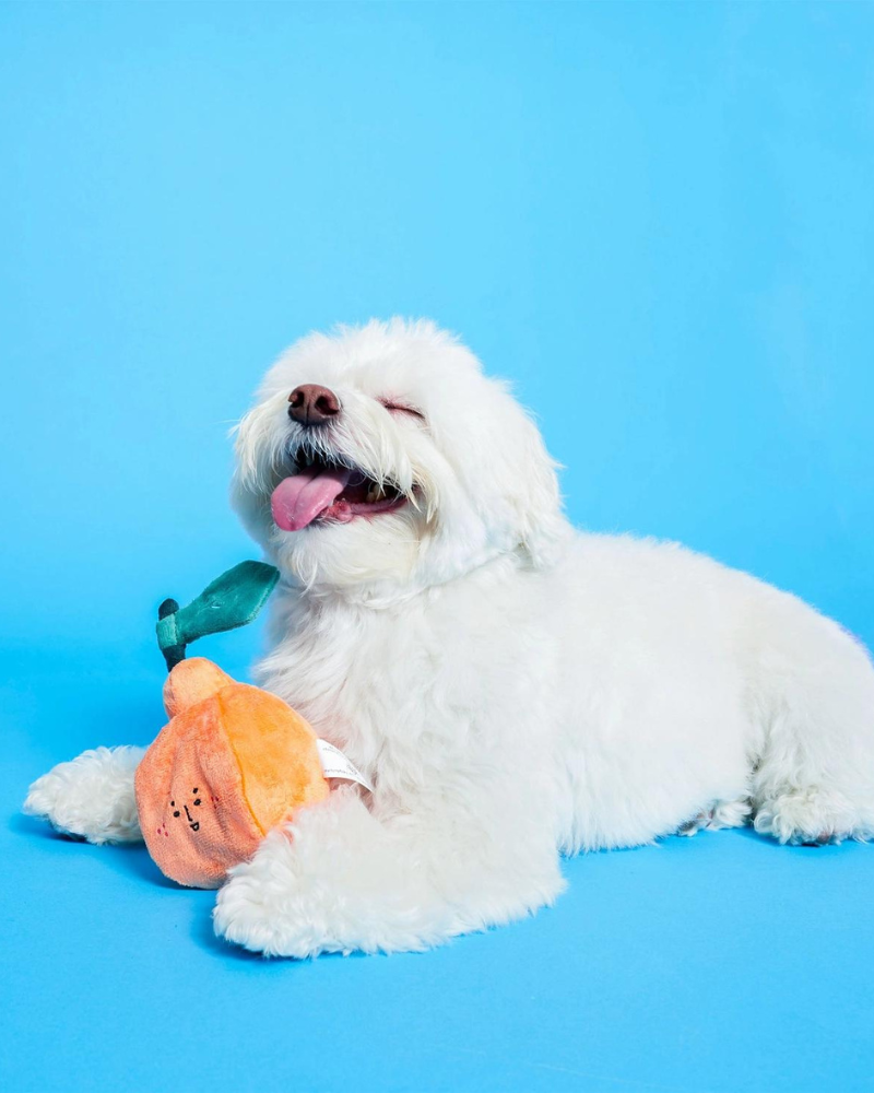 Orange Nosework Dog Toy Play THE FURRY FOLKS   