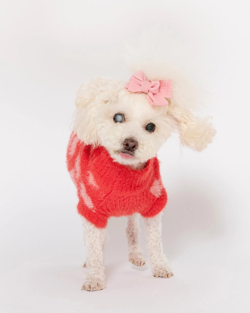 Hug Me Heart Dog Sweater (FINAL SALE) Wear THE FURRYFOLKS   