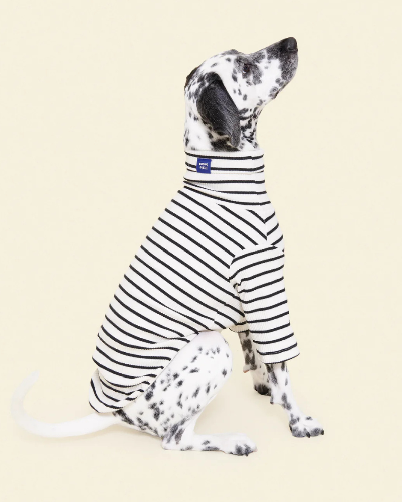 World's Your Oyster Dog Pullover Shirt Wear LITTLE BEAST