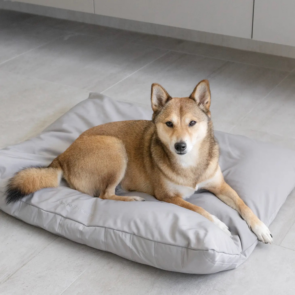 Maatin Reversible Memory Foam Pet Bed HOME LAMBWOLF COLLECTIVE   