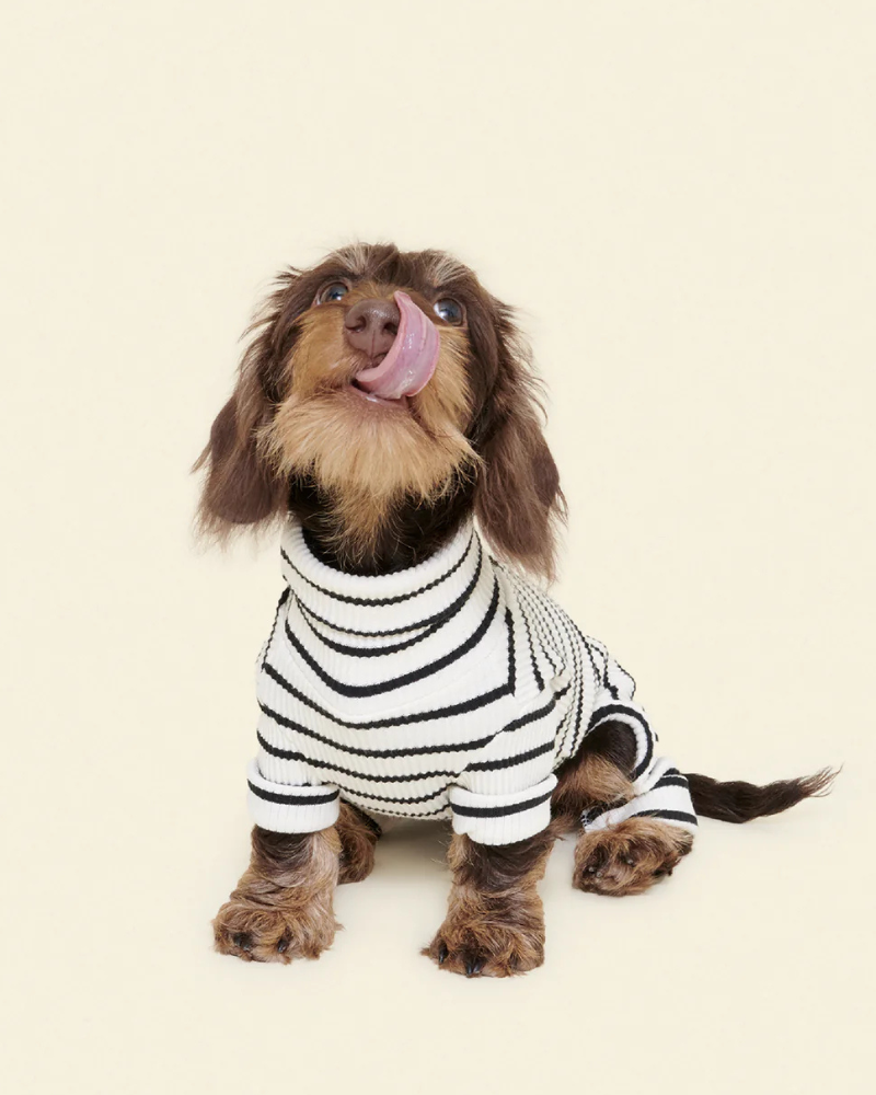 World's Your Oyster Dog Onesie Wear LITTLE BEAST