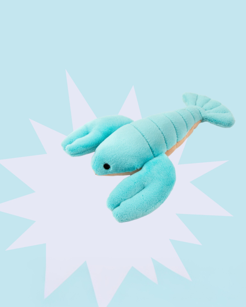 Rachel the Mini Lobster Plush Squeaky Dog Toy Play FLUFF & TUFF