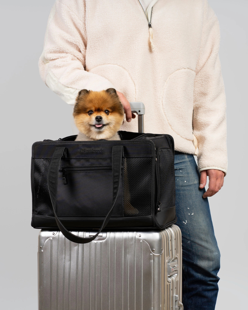 City to Sky Pet Travel Carrier Carry OSKAR&FRIENDS