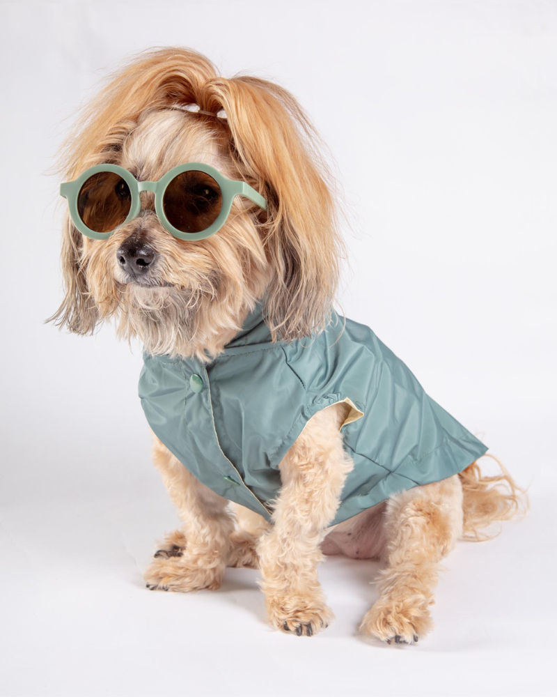 Life Dog Raincoat Wear FUZZYARD Myrtle Green 1 