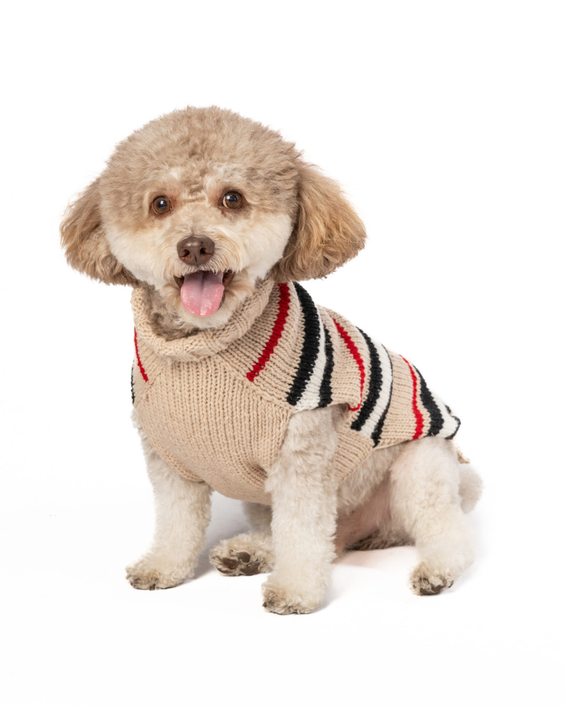 Bentley Alpaca Stripe Wool Dog Sweater Wear CHILLY DOG   