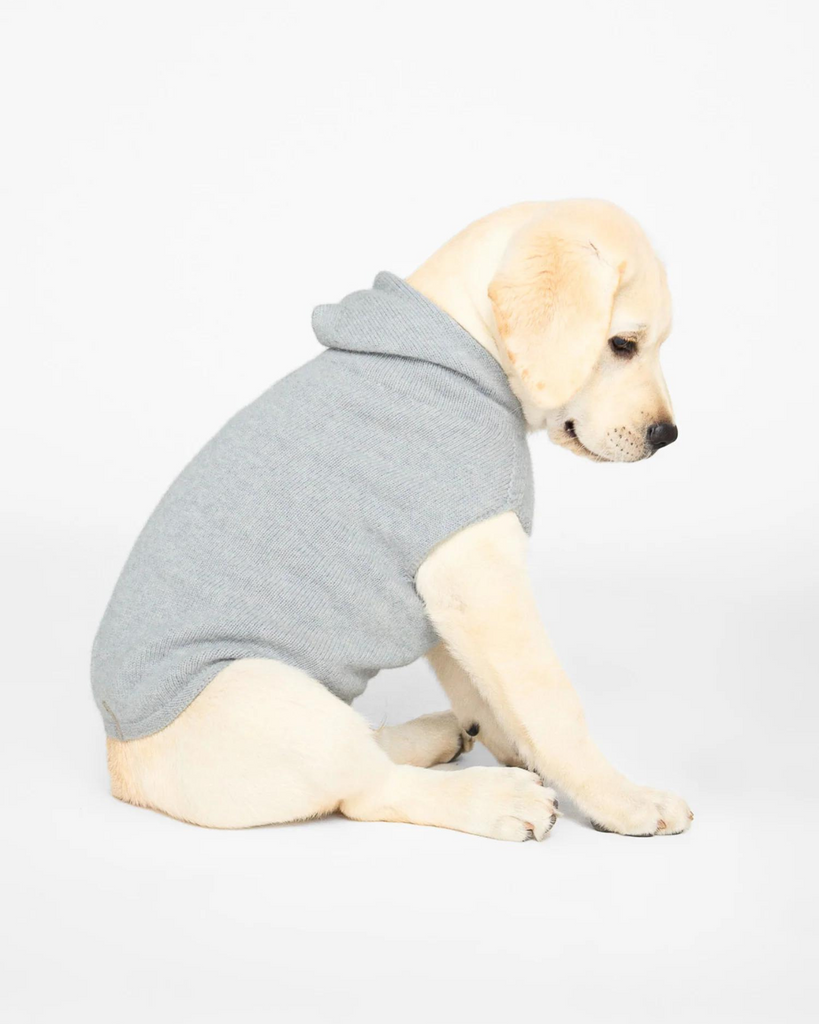 The Cashmere Dog Hoodie Dog & Co x Brochu Walker Exclusive Wear BROCHU WALKER   