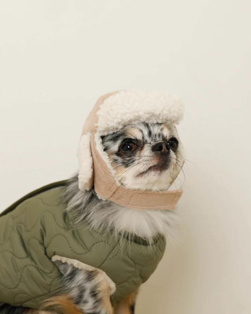 Corduroy Pet Flight Cap Wear MONCHERI   