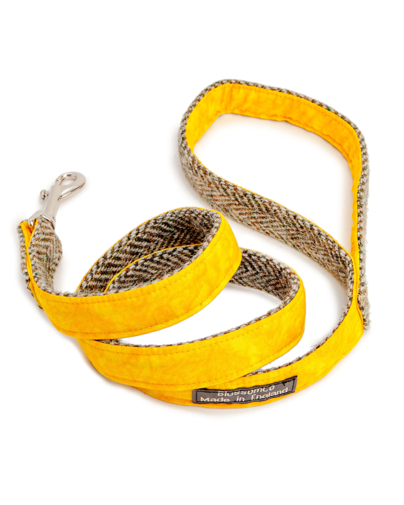 Eriskay Tweed Collar + Leash Set (Made in the UK)