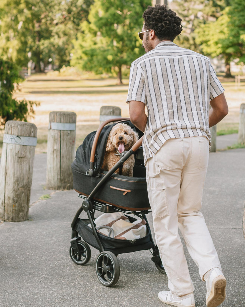 Maeve™ + Roscoe™ 3-in-1 Pet Stroller & Car Seat HOME TAVO PET   